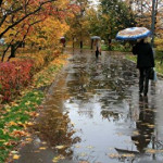 هشدار مهم به شهروندان تهرانی / امشب و فردا مراقب باشید