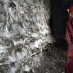 کشف بزرگترین تار عنکبوت جهان؛ شهر با ۱۱۱ هزار عنکبوت!