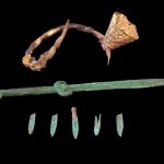 کشف مقبره جنگجوی ایرانی‌تبار با شمشیر دست‌نخورده در قزاقستان