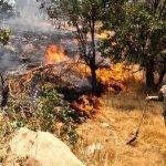 آتش در جنگل‌های ثبت جهانی؛ یونسکو و وزارت میراث کجای ماجرا ایستاده‌اند؟