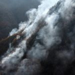 مسدودسازی کامل ورودی جنگل‌های مازندران؛ آماده‌باش برای مقابله با خطر حریق