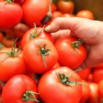 قیمت گوجه نجومی شد – سلام نو قیمت گوجه نجومی شد – سلام نو