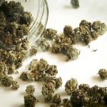 هشدار درباره مخدرهای جدید؛ «کِمیکال» و «بنزای» خطرناک‌تر از گل – سلام نو