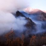 علت اصلی آتش سوزی جنگل الیت چه بود؟