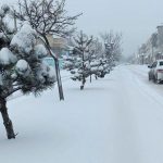 اولین بارش برف پاییزی ۱۴۰۴ ثبت شد / سرماویخبندان از این تاریخ کشور را فرا می‌گیرد