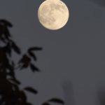 ماه کامل/ درخشان ترین اَبَرماه سال ۱۴۰۴ را ببینید+ فیلم ماه کامل/ درخشان ترین اَبَرماه سال ۱۴۰۴ را ببینید+ فیلم