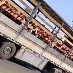 اقدام عجیب بک مدرسه در جهرم/ انتقال دانش‌آموزان با کامیون+ تصویر