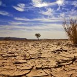 بحران آب در کشور جدی شد! + فیلم