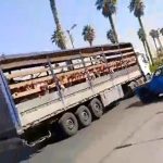 جابه‌جایی دانش‌آموزان با یک خودروی فوق لاکچری در جهرم+ فیلم