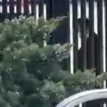 پنهان‌کاری یا سیاست؟/ استقبال ترامپ از در پشتی کاخ سفید!+ فیلم