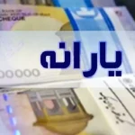 یارانه بگیران این خبر مهم را از دست ندهند/ ارسال پیامک یارانه‌ای به سرپرستان خانوار