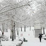 بارش برف مرز پیرانشهر را کاملا سفیدپوش کرد+ فیلم بارش برف مرز پیرانشهر را کاملا سفیدپوش کرد+ فیلم