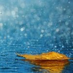 تداوم فعالیت سامانه بارشی تا فردا/ هشدار نارنجی در ۵ استان