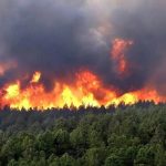 آتشسوزی گسترده در جنگلهای جاده چالوس / محیطزیست خواستار اقدام فوری شد آتشسوزی گسترده در جنگلهای جاده چالوس / محیطزیست خواستار اقدام فوری شد