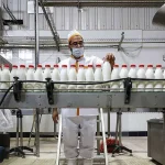 افزایش ناگهانی قیمت لبنیات؛ ماست و پنیر در صدر گرانی‌ها