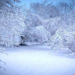 بارش برف پاییزی سلماس را سفیدپوش کرد+ فیلم