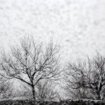 اولین برف پاییزی در شهرستان اسکو دامنه سهند+ فیلم