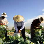 حراج آب بیخ گوش تهران / مصرف آب دو ماه تهرانی‌ها را به زمین می‌ریزند