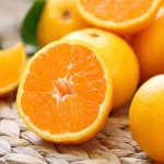 واکنش رسمی به خبر تزریق سم به پرتقال ایرانی/ ماجرا چیست؟