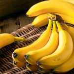 پایتخت تولید موز ایران معرفی شد