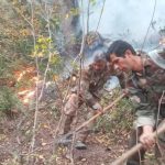 آخرین وضعیت مهار آتش در جنگلهای الیت آخرین وضعیت مهار آتش در جنگلهای الیت