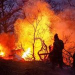 ماجرای بازداشت دهیار روستای الیت چالوس چه بود؟ ماجرای بازداشت دهیار روستای الیت چالوس چه بود؟