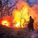 گسترش آتش در الیت مهار شد + فیلم گسترش آتش در الیت مهار شد + فیلم