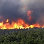 همه چیز درباره آتشسوزی جنگلهای هیرکانی؛ بحران در مدیریت بحران همه چیز درباره آتشسوزی جنگلهای هیرکانی؛ بحران در مدیریت بحران