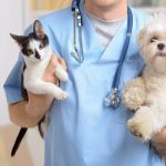 بازار داغ عملهای عجیب حیوانات خانگی در ایران / موجودات بیگناهی که قربانی چشم و همچشمی میشوند بازار داغ عملهای عجیب حیوانات خانگی در ایران / موجودات بیگناهی که قربانی چشم و همچشمی میشوند