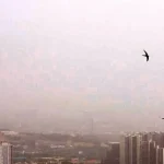 تصاویر هوایی هولناک از تهران دفنشده در دود+ عکس تصاویر هوایی هولناک از تهران دفنشده در دود+ عکس