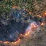 آتش به جان جنگلهای استان گلستان هم افتاد + فیلم آتش به جان جنگلهای استان گلستان هم افتاد + فیلم