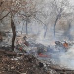 آخرین وضعیت آتشسوزی در جنگلهای شمال + فیلم آخرین وضعیت آتشسوزی در جنگلهای شمال + فیلم