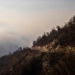 خسارت آتش به جنگل‌های الیت چقدر بود؟ / چند هکتار جنکل سوخت؟