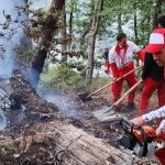 آتش دوباره به جان جنگلهای سوادکوه افتاد آتش دوباره به جان جنگلهای سوادکوه افتاد