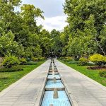 تصویری هولناک از قطع درختان قدیمی باغ فردوس+ عکس تصویری هولناک از قطع درختان قدیمی باغ فردوس+ عکس