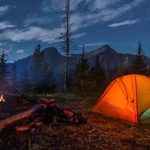 اقامت شبانه در جنگلها ممنوع شد اقامت شبانه در جنگلها ممنوع شد