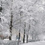 ورود سامانه بارشی جدید به کشور / مردم این استان منتظر بارش برف باشند ورود سامانه بارشی جدید به کشور / مردم این استان منتظر بارش برف باشند