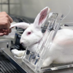 استفاده از روشهای جایگزین حیوانات آزمایشگاهی، هزینه و زمان تحقیقات را کاهش میدهد استفاده از روشهای جایگزین حیوانات آزمایشگاهی، هزینه و زمان تحقیقات را کاهش میدهد