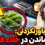 کلید سکونت در مریخ؛ چگونه این خزه بدون آب و اکسیژن در فضا دوام آورد؟