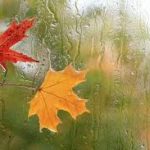 خبر خوش هواشناسی برای ایران/ اولین بارش پاییزی در 11 استان خبر خوش هواشناسی برای ایران/ اولین بارش پاییزی در 11 استان