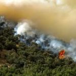 دستگیری فردی که جنگل های هیرکانی را به آتش کشیده بود دستگیری فردی که جنگل های هیرکانی را به آتش کشیده بود