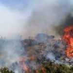 خبر جدید از آتش‌سوزی جنگل‌های الیت/ آتش‌سوزی مهار شد