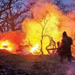 میزان خسارت آتش‌سوزی به جنگل‌های الیت مشخص شد