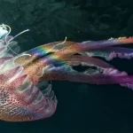 آیا حیوانات بدون مغز می‌توانند فکر کنند؟