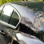 شاید ندانید اما پرندگان روی این ماشینها بیشتر خرابکاری میکنند! شاید ندانید اما پرندگان روی این ماشینها بیشتر خرابکاری میکنند!