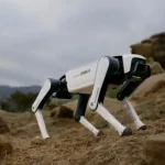 سگ رباتیک Dobot با قیمت یک گوشی پرچمدار رونمایی شد؛ رباتی که احساسات شما را درک میکند سگ رباتیک Dobot با قیمت یک گوشی پرچمدار رونمایی شد؛ رباتی که احساسات شما را درک میکند