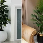 گلدان طبیعی کنار سالنی؛ ۱۵ مدل گیاهان مقاوم و تزئینی برای سالن‌های داخلی