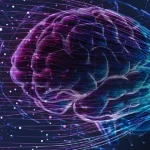 مغز انسان چه زمانی پیر می‌شود؟ پاسخ جدید علم که شاید نگرانتان کند