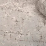 تخته بازی منحصر‌به‌فرد مایاها از دل جنگل بیرون آمد؛ آیا این کلید ارتباط با خدایان است؟