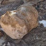 کشف ستون باستانی در نهاوند؛ رازهای هزارساله در دل دوخواهران